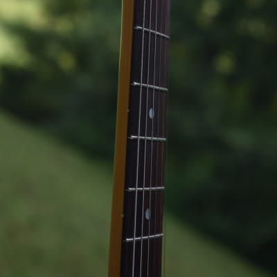 Tokai Goldstar Sound image 10