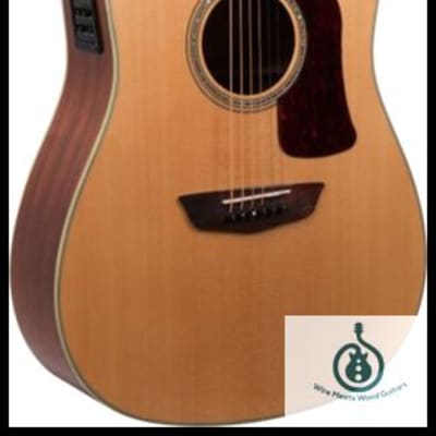 Washburn EA30 BE/TB birds eye maple thin body acoustic electric