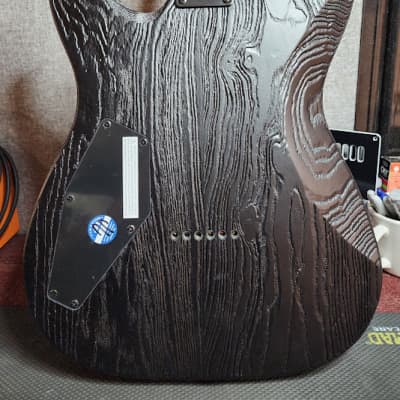 ESP LTD TE-1000 | Reverb