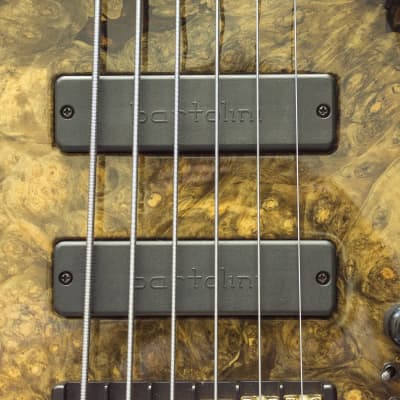 Roscoe Signature 6 Bass 6 String Fretless Burled Top Like New Burled Top image 3