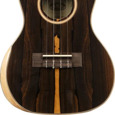 Kala B-KA-PX-ZCT-C Premier Exotic Ziricote Concert Ukulele, Finish