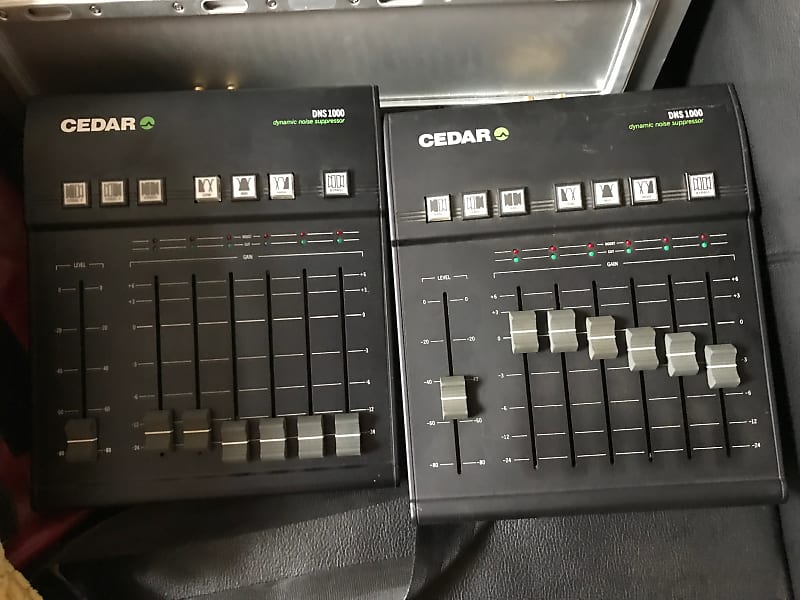 CEDAR DNS 1000 DYNAMIC NOISE SUPPRESSOR 美品(1)