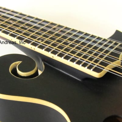 F-Style 12-String Mando-Guitar w/ Hardshell Case image 7