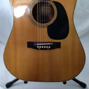 Suzuki w300 store guitar