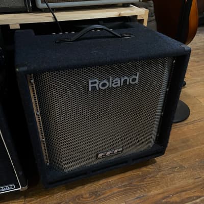 Roland DB-700 D-Bass 2-Channel 250-Watt 1x15