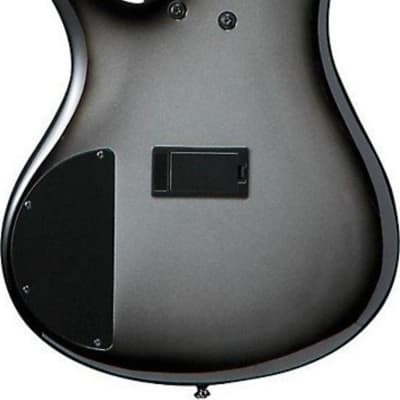 Ibanez SR305E 5-String Electric Bass Guitar Bundle image 4