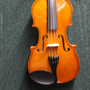Palatino VN-450 Allegro Ebony 4/4 Full-Size Violin Outfit w/ Case, Bow