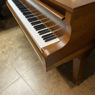 Kawai baby grand piano & bench | Reverb