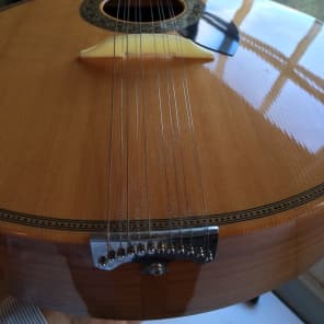 Portuguese 12-string Fado Guitar image 5