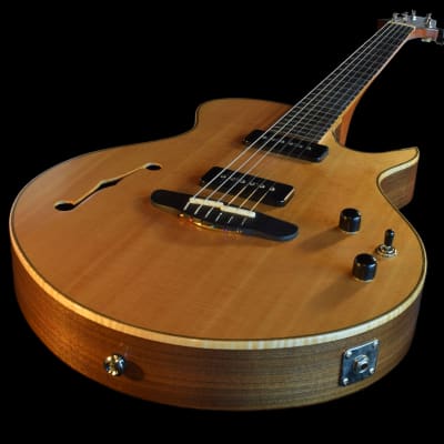 Bright Guitars Hollow Grizzly image 6