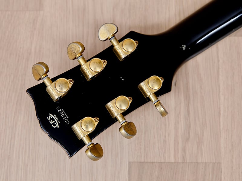 2003 FGN History Dignity ZLC-90 Black Beauty Custom Electric