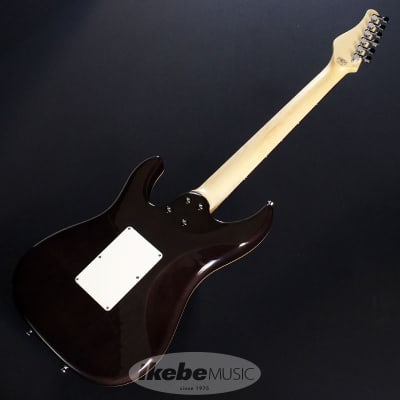 ギター SCHECTER SD-2-24-AL Rosewood SCHECTER [※お取り寄せ商品] SD-2-24-AL Rosewood/Amber(AMB
