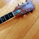 Interesting 1980 Gibson Firebrand "The Paul" Deluxe