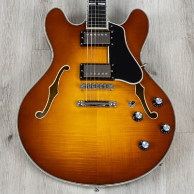 Eastman Guitars T486 Semi-Hollow Electric Guitar, Ebony Fretboard, GB Gold Burst image 1