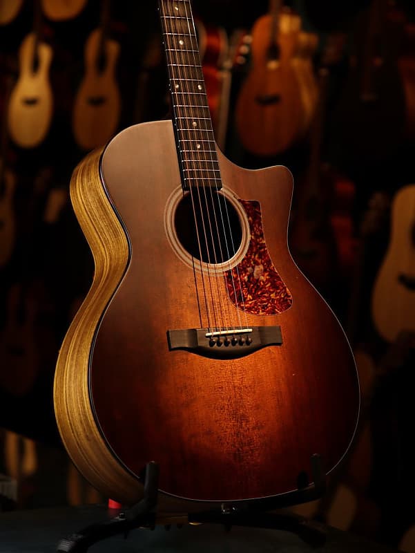 Eastman 222ce store