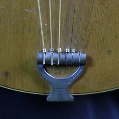 Vintage August Pollman Mandoline Guitar 1890s image 7