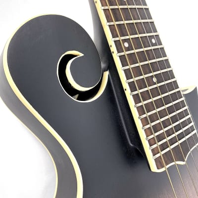 Gold Tone F6 F-Style Mando-Guitar w/ pickup image 8