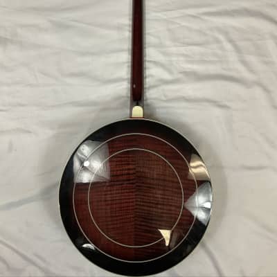 Lida Vintage 4-String Banjo 19 Frets Remo Weatherking Banjo Head USA With Case image 10