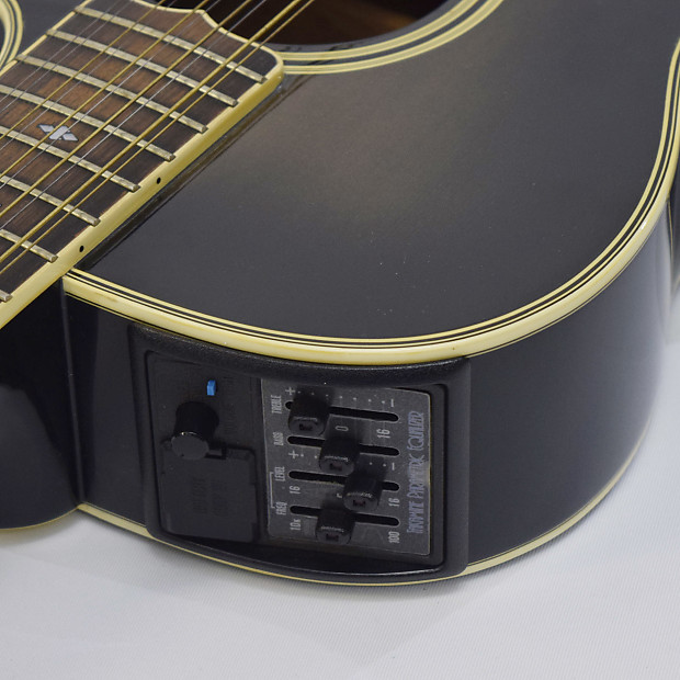 Takamine NPT-110-12 | Reverb
