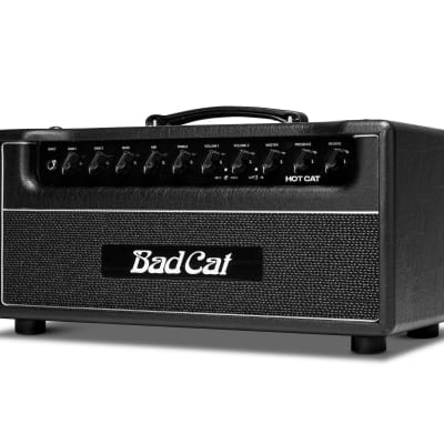 Bad Cat Amplifiers Hot Cat Head 45W 2 Channel Amp Direct Ship