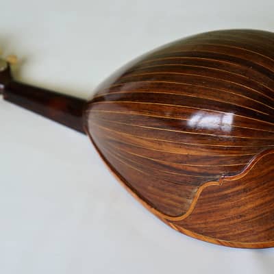 Mandolin - Round back made by Marco Rebora circa early 1900s image 9