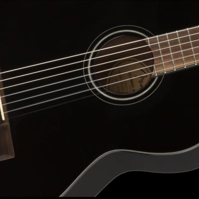 Fender Classic Design CN-60S Black Nylon Guitar image 4