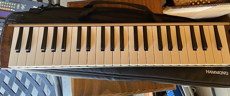 Hammond Pro 44h v2 Melodion | Reverb