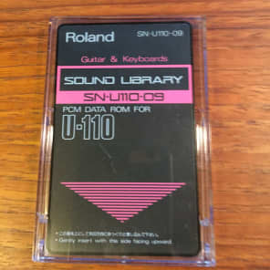 Roland U-110 SN-U110-09 - Guitar & Keyboards Sound Card image 2