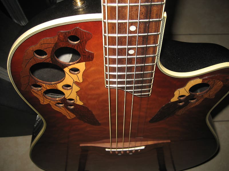 Ovation Celebrity CS 257~Quilted Autumn Burst~Amazing Top