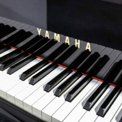 YAMAHA C7 GRAND PIANO. MADE IN THE 1990'S . 5 YEAR GUARANTEE. 0% FINANCE image 4