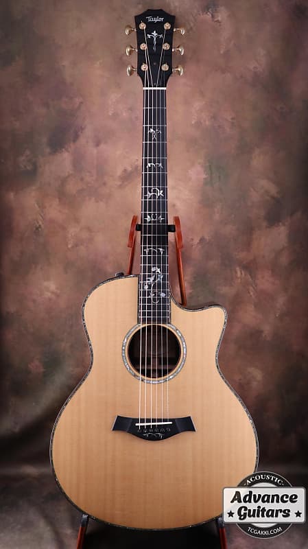 Taylor 916ce with ES1 Electronics