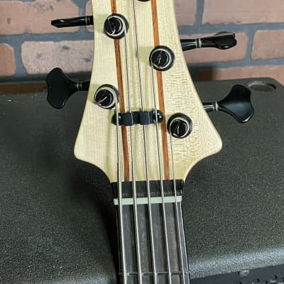 Dragonfly custom guitar work by Harry's Engineering Custom 5 string bass image 5