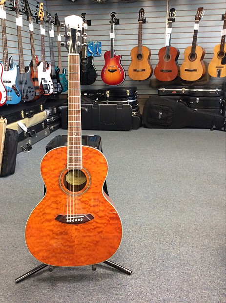 Fender hot sale gdo 300
