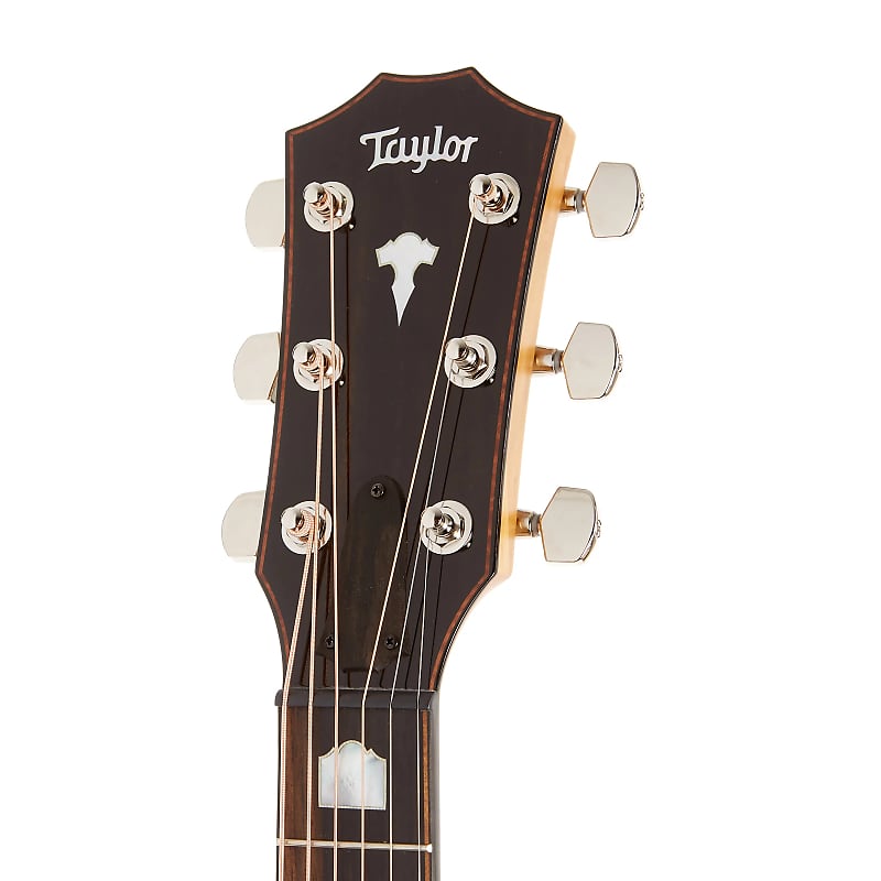 Immagine Taylor 618e with V-Class Bracing - 5