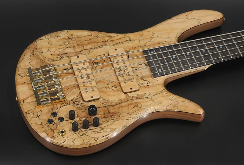 Fodera Monarch V Deluxe Spalted Maple | Reverb