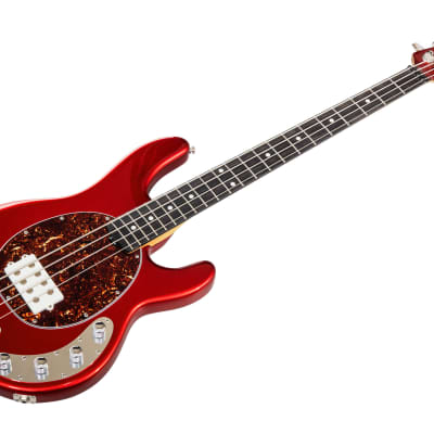 完成品 USA Man Music StingRay Reverb | Candyman - CM Special 4 ベース
