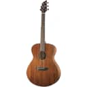 Breedlove Discovery Concert MH Acoustic Guitar All Mahogany