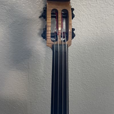 Electric Upright Bass image 3