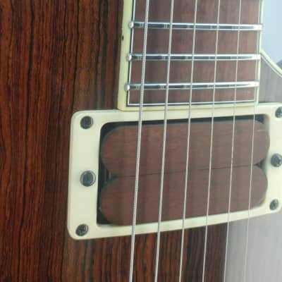 Benavente 2K Custom  T-Rex Guitar image 8