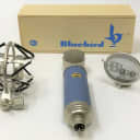 Blue Bluebird Large Diaphragm Microphone with Shock Mount and Windscreen