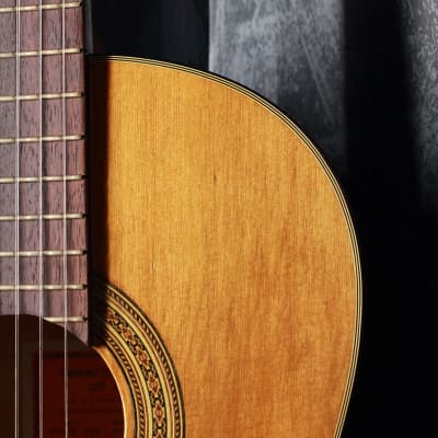 ハシモトガット ギター 1967年製 No.234 Hashimoto Gut Guitar Model No. 234 Classical Acoustic 1967