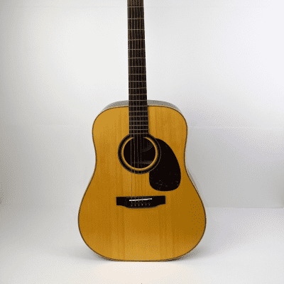 Guitarra acústica Raimundo DS9701 formato dreadnought brillo image 2