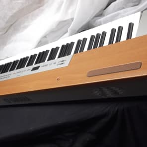 Yamaha P-120 Digital Stage Piano Wood / Silver | Reverb Yamaha P-120 Digital Stage Piano Wood / Silver | Reverb