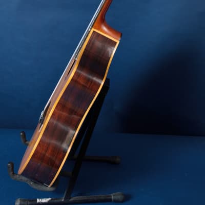 Giannini Craviola AWKNS6 / Nylon String and Bossa Ready! image 15
