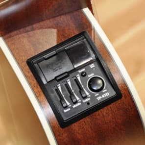 Takamine GD20CE Acoustic Guitar (GD20CE) image 4