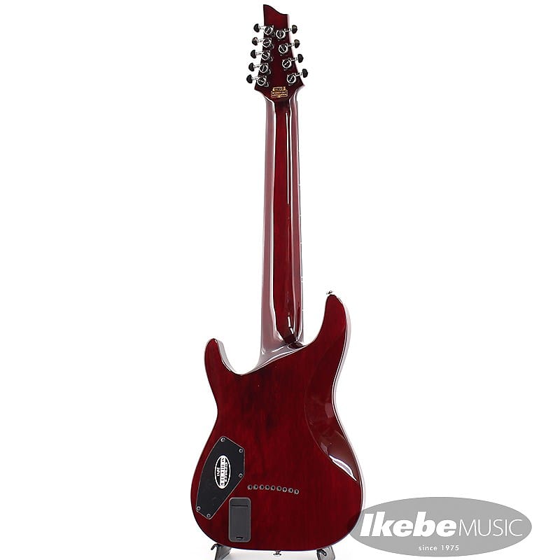 SCHECTER Hellraiser C-9 [AD-C-9-HR] (Black Cherry) | Reverb