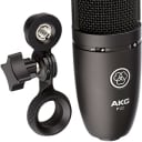 AKG P120 General Purpose Recording Condenser Microphone
