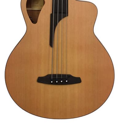 Furch Bc 61-CM 4 Fretless Acoustic Bass EAS-VTC image 1