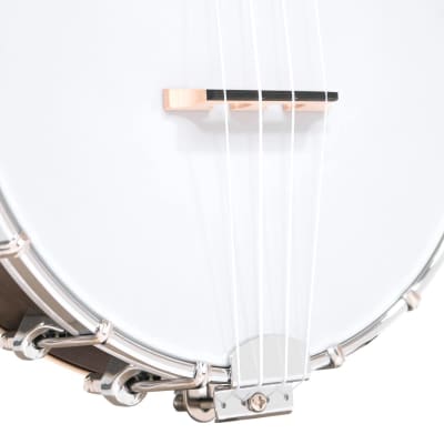 Gold Tone BUT Tenor-Scale 4-String Banjo Ukulele with Hardshell Case - Satin Vintage Brown image 5