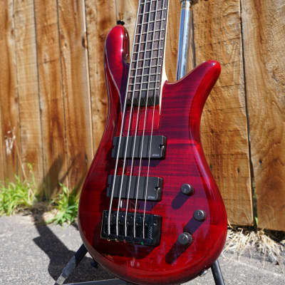 Spector Bantam-5 Black Cherry Gloss 32 inch 5-String Bass Guitar w/ Gig Bag image 5